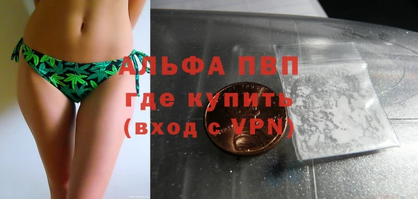 дмт Рославль