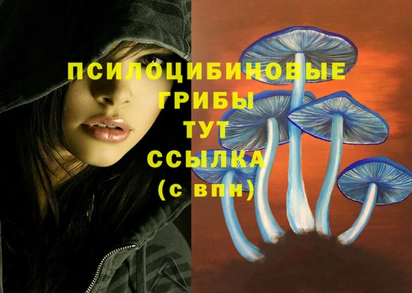дживик Абинск