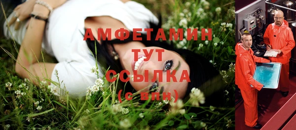 шишки Абдулино